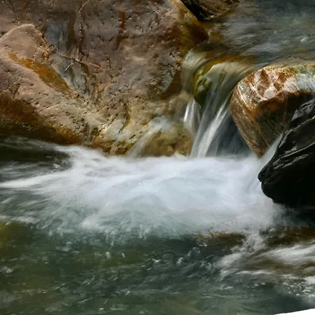 Consulat Des Elohim Chez Allan Et Lili-peace Maison d'hôtes 4*