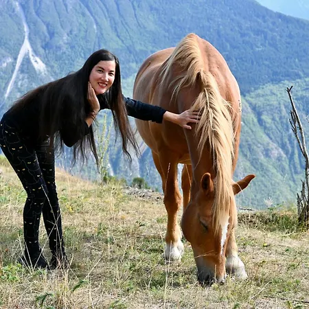 Consulat Des Elohim Chez Allan Et Lili-peace Maison d'hôtes 4*