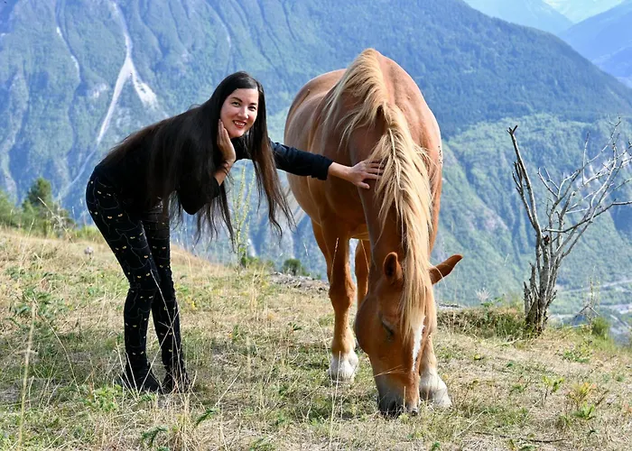 Nature Et Serenite Chez Allan بيت ضيافة 4*